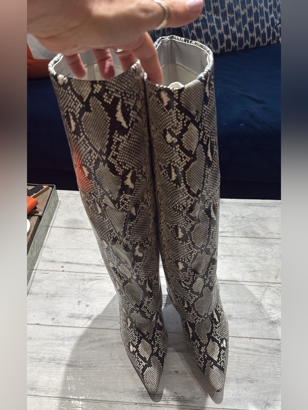 Women's Snake-Print Knee-High Boots in Black & Cream